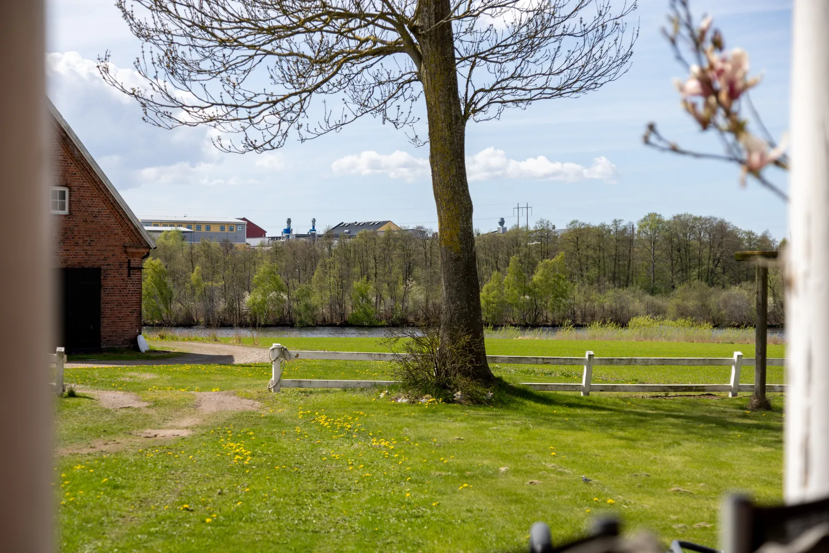Gård/Skog, Ahlavägen 4, Ahla, Laholm