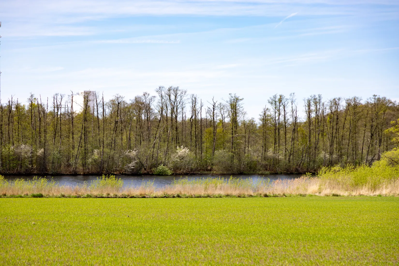 Gård/Skog, Ahlavägen 4, Ahla, Laholm
