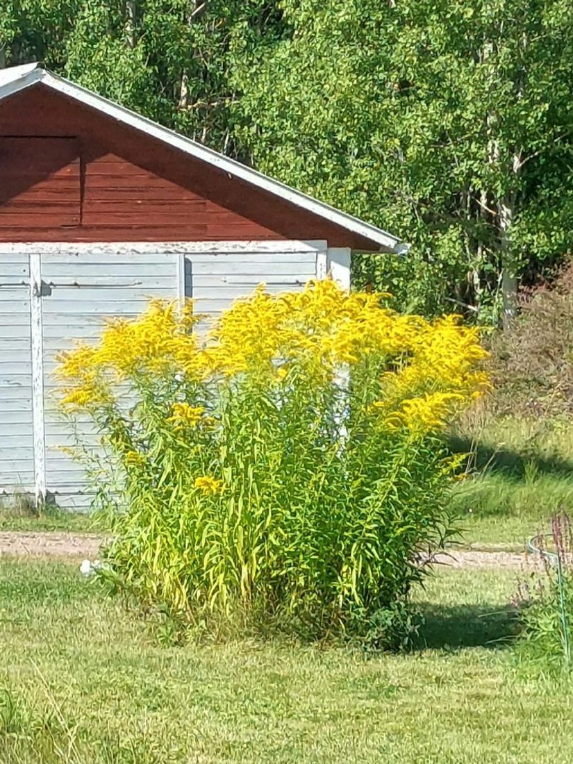 Villa, Ådala Björkbacka 1, Ydre