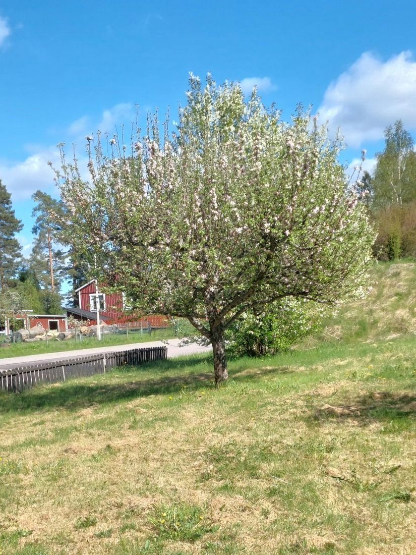 Villa, Ådala Björkbacka 1, Ydre