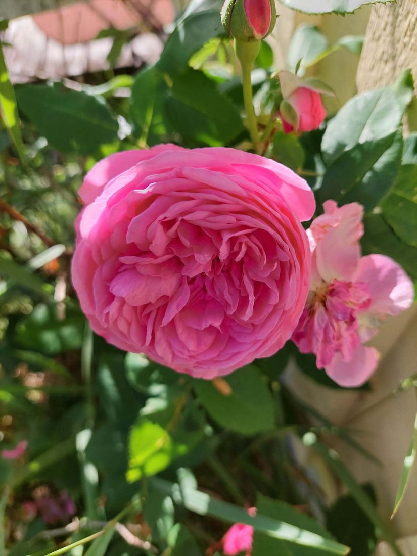 Villa, Ådala Björkbacka 1, Ydre