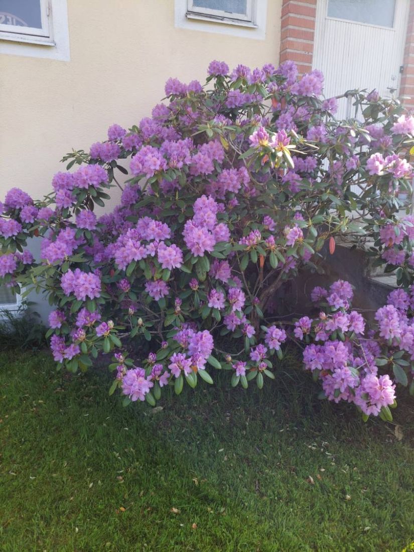 Villa, Ådala Björkbacka 1, Ydre