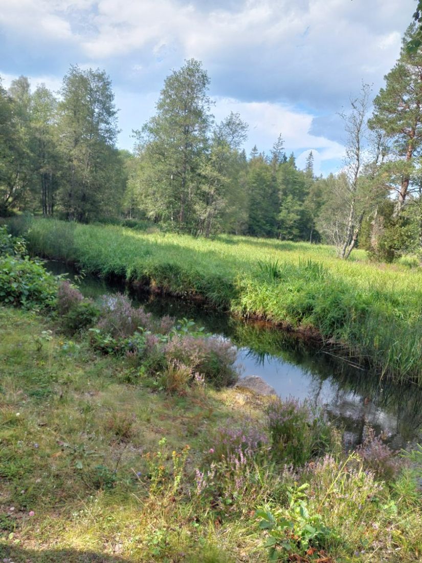Villa, Ådala Björkbacka 1, Ydre