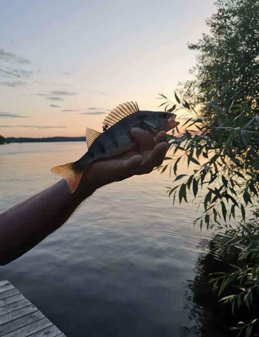 Bostadsrätt, Radhus, Berguddsvägen 28B, Hässelby Södra Villastad, Stockholm