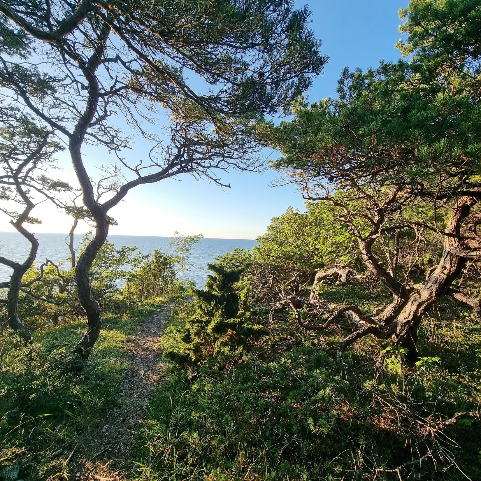 Villa, Lummelunda Lundbjärs 708, Lummelunda, Gotland