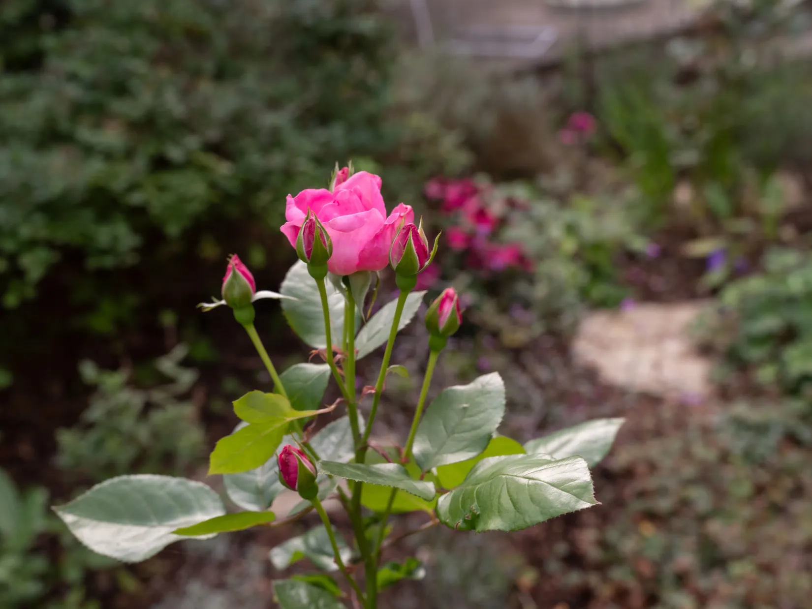 Villa, Lummelunda Lundbjärs 708, Lummelunda, Gotland