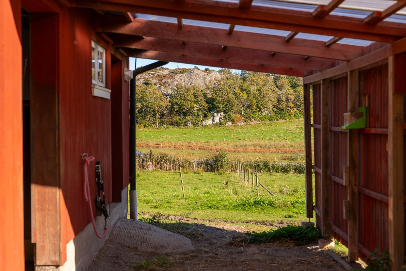 Gård/Skog, Lysekil Grönskult 1:9 och Lysekil Näreby 1:12, Skaftö, Lysekil