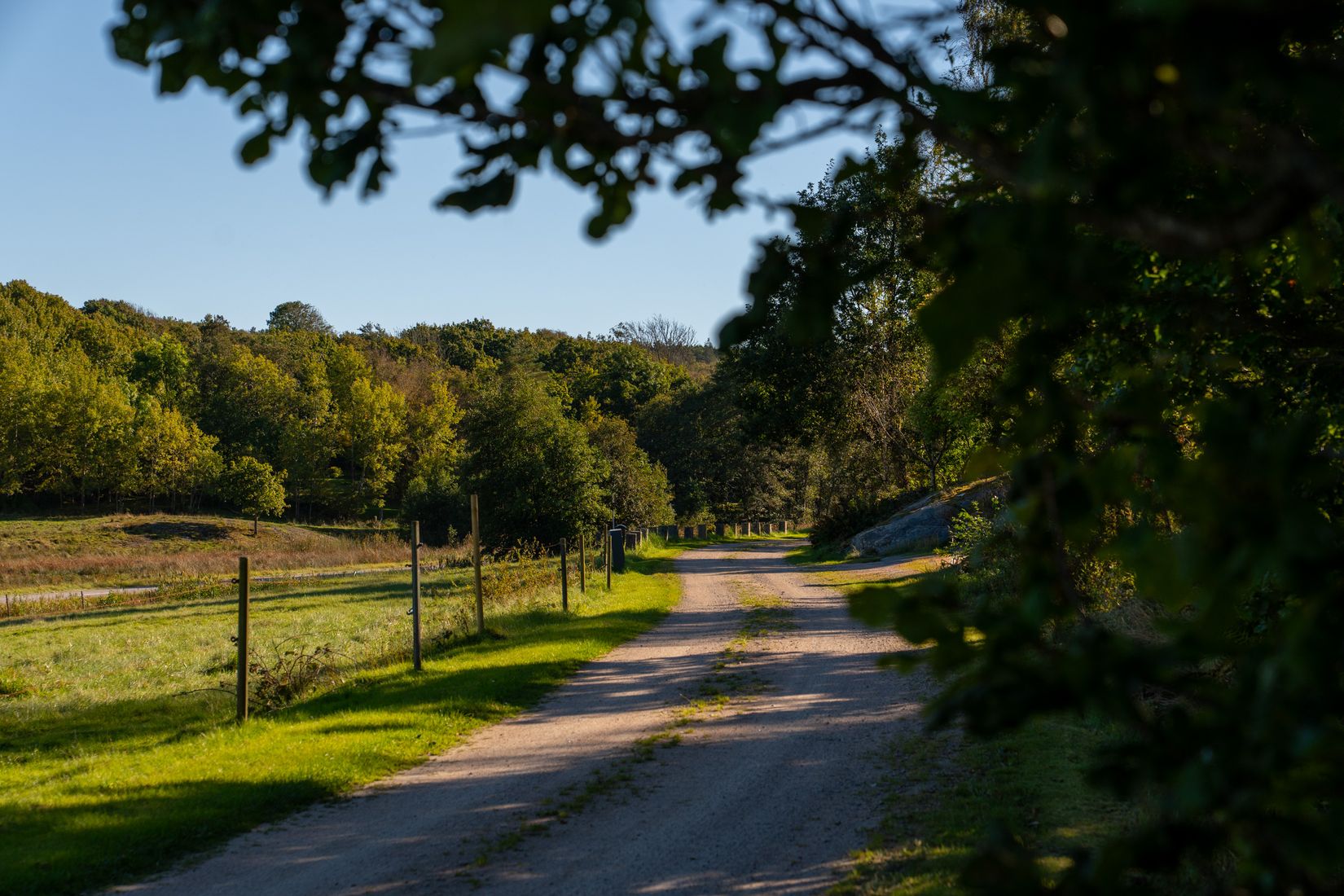 Gård/Skog, Lysekil Grönskult 1:9 och Lysekil Näreby 1:12, Skaftö, Lysekil