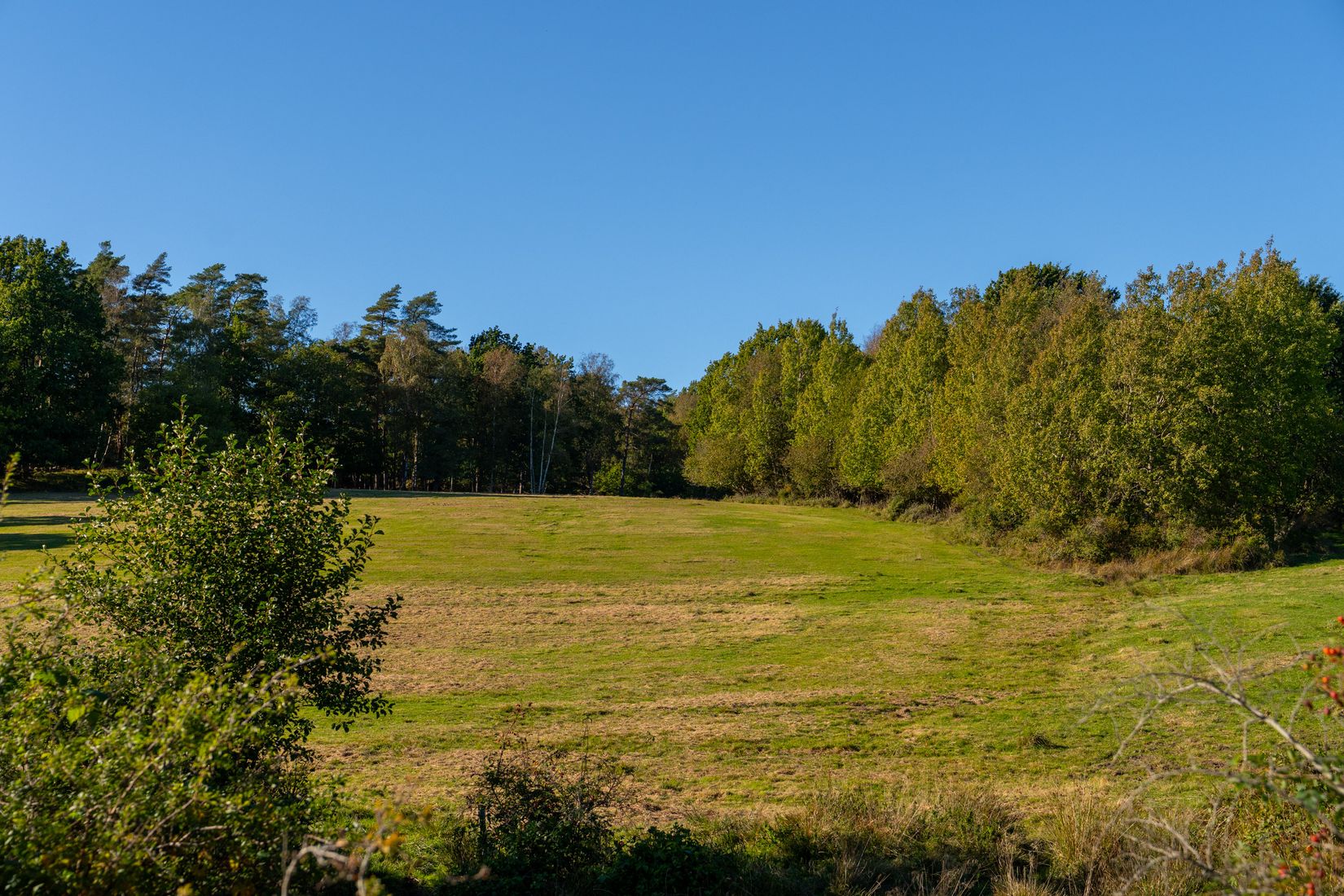 Gård/Skog, Lysekil Grönskult 1:9 och Lysekil Näreby 1:12, Skaftö, Lysekil