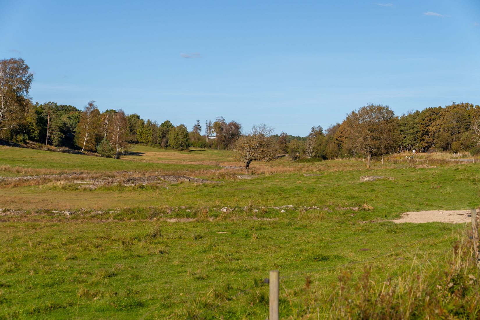 Gård/Skog, Lysekil Grönskult 1:9 och Lysekil Näreby 1:12, Skaftö, Lysekil