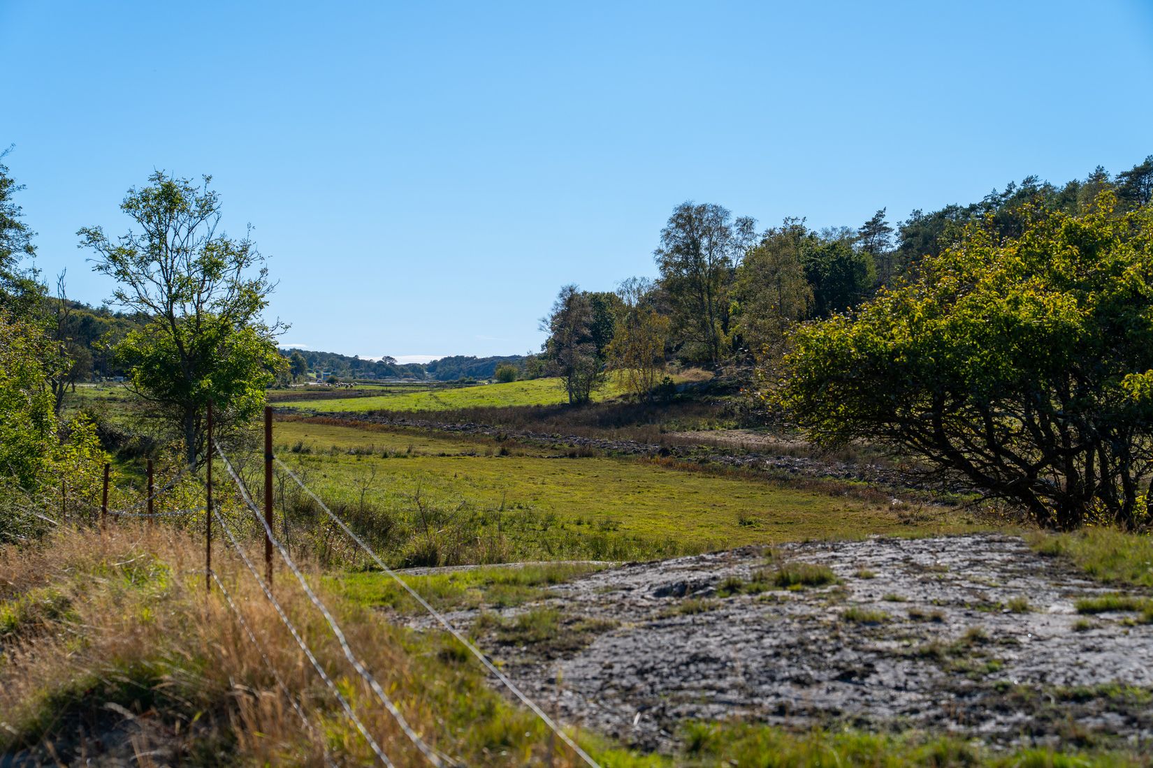 Gård/Skog, Lysekil Grönskult 1:9 och Lysekil Näreby 1:12, Skaftö, Lysekil