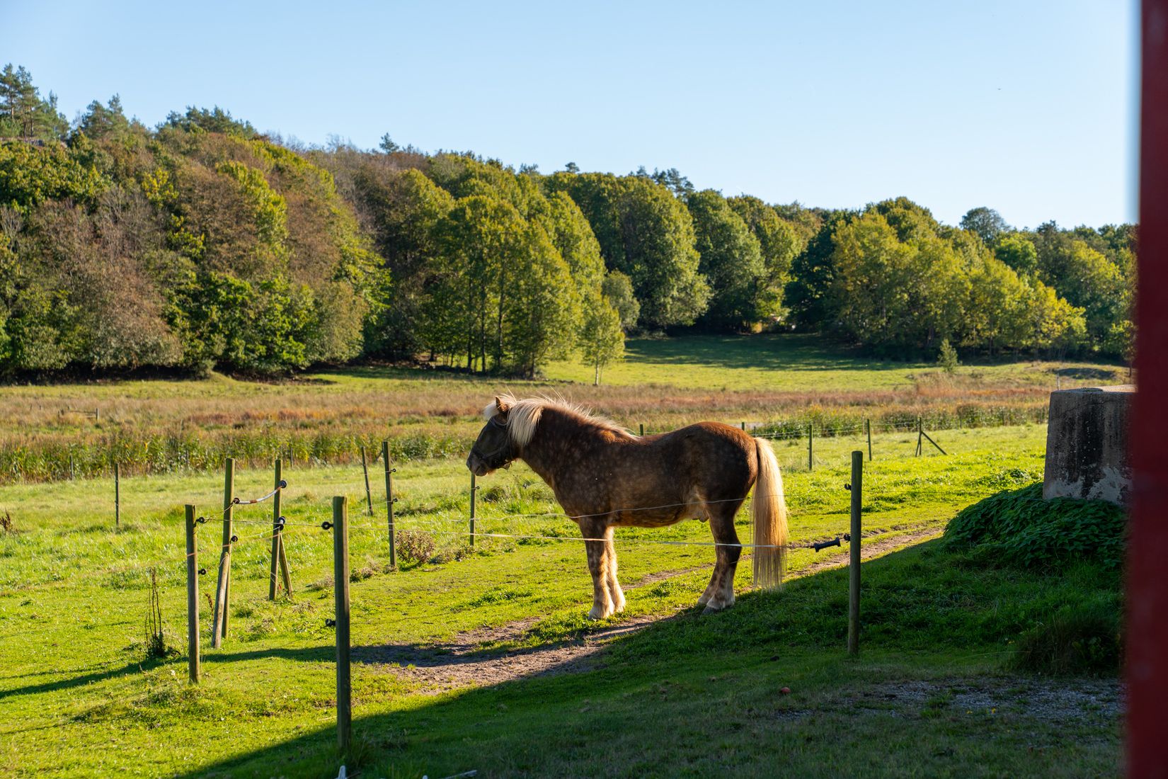 Gård/Skog, Lysekil Grönskult 1:9 och Lysekil Näreby 1:12, Skaftö, Lysekil