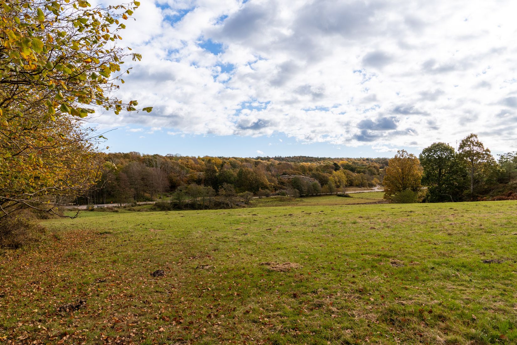 Gård/Skog, Lysekil Grönskult 1:9 och Lysekil Näreby 1:12, Skaftö, Lysekil
