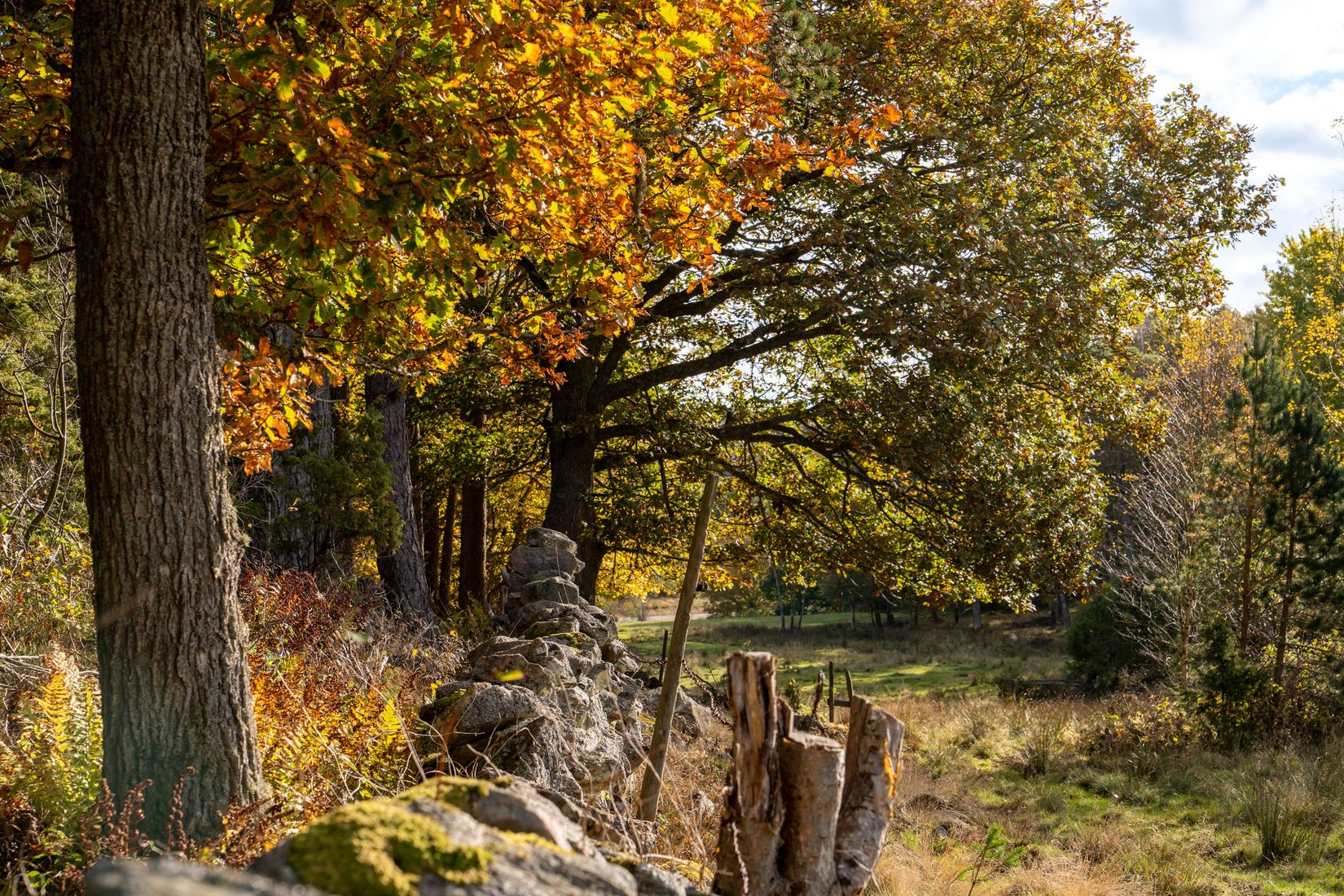 Gård/Skog, Lysekil Grönskult 1:9 och Lysekil Näreby 1:12, Skaftö, Lysekil