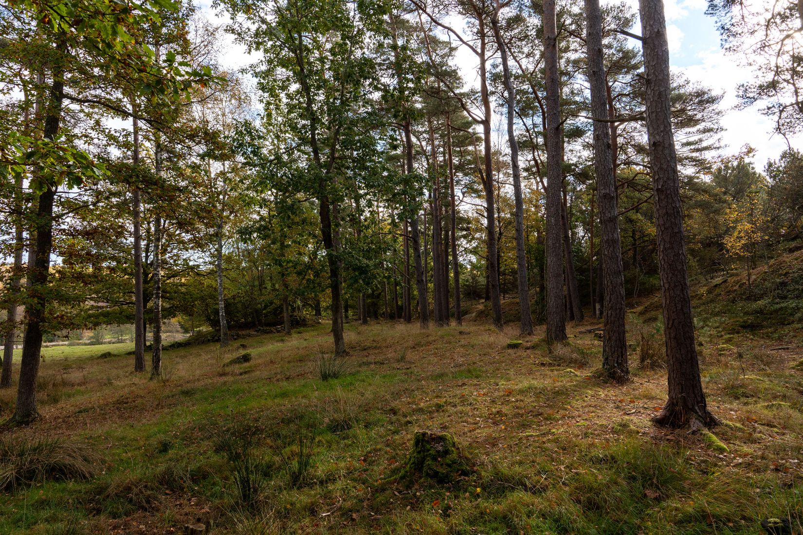 Gård/Skog, Lysekil Grönskult 1:9 och Lysekil Näreby 1:12, Skaftö, Lysekil