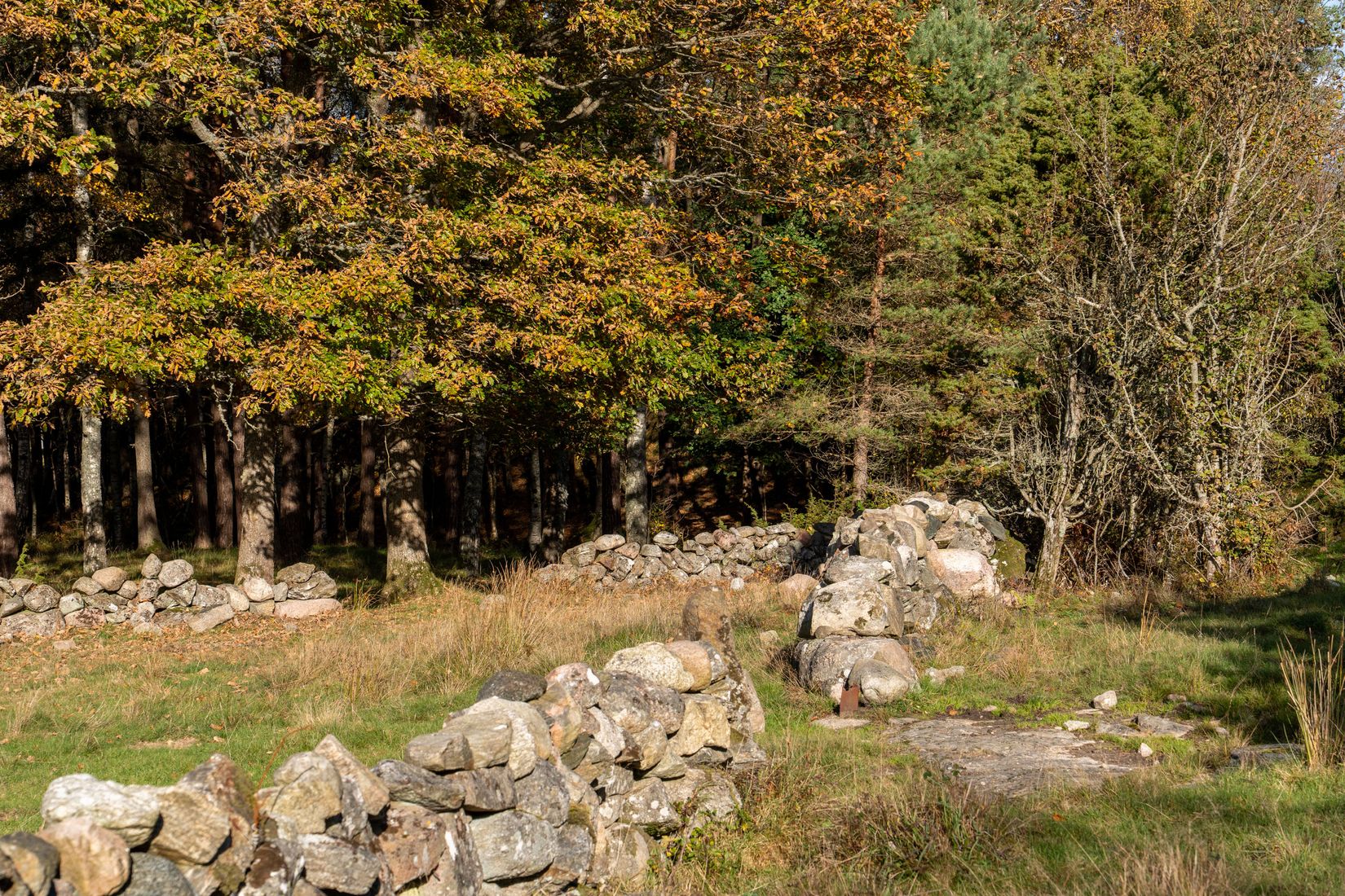 Gård/Skog, Lysekil Grönskult 1:9 och Lysekil Näreby 1:12, Skaftö, Lysekil