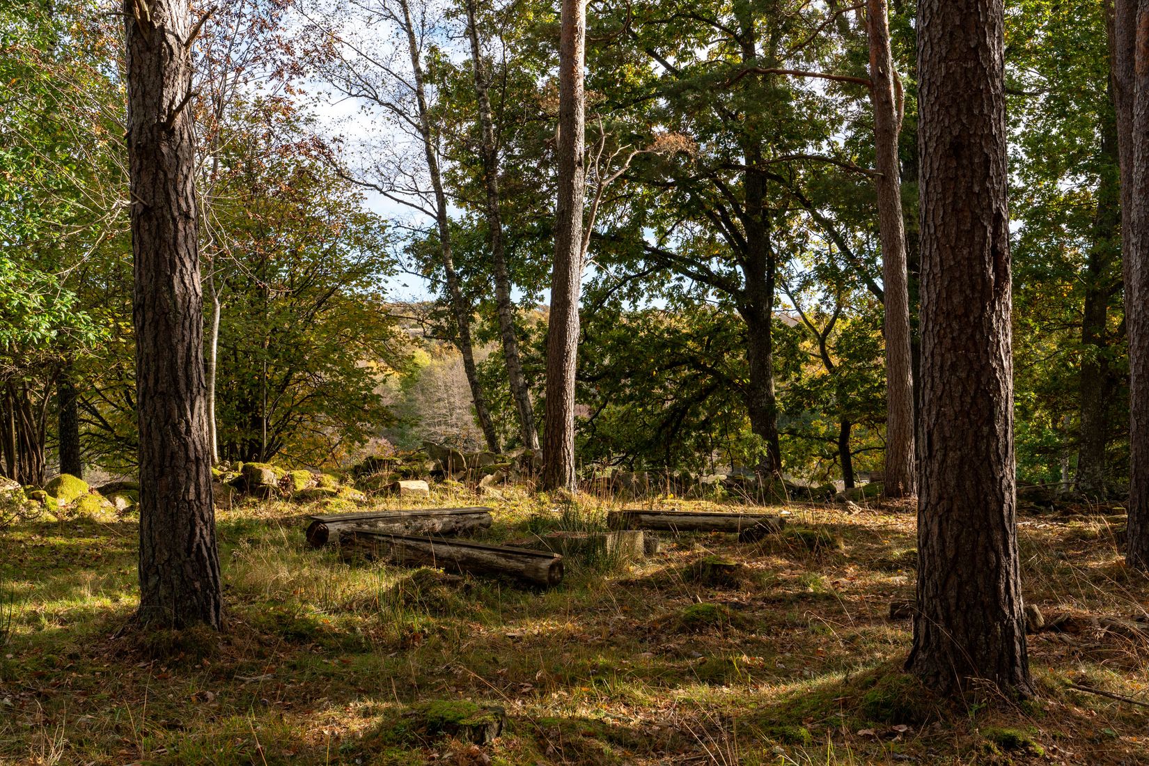 Gård/Skog, Lysekil Grönskult 1:9 och Lysekil Näreby 1:12, Skaftö, Lysekil