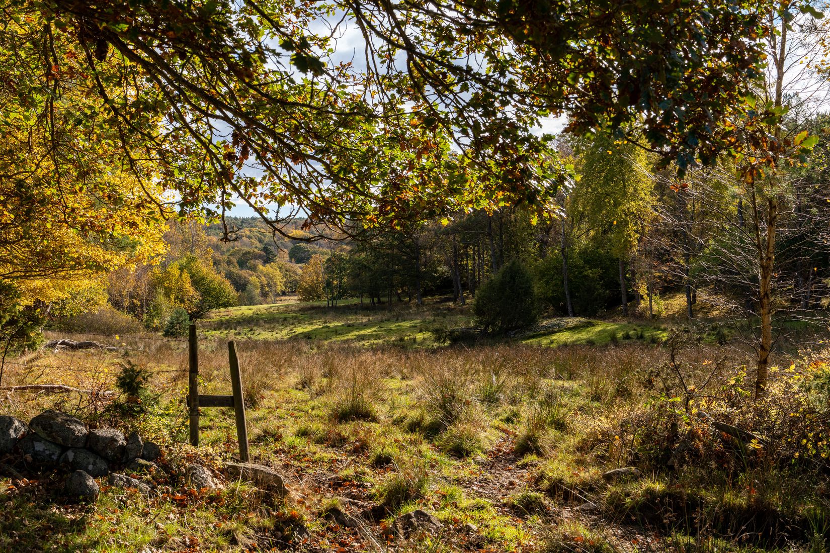 Gård/Skog, Lysekil Grönskult 1:9 och Lysekil Näreby 1:12, Skaftö, Lysekil