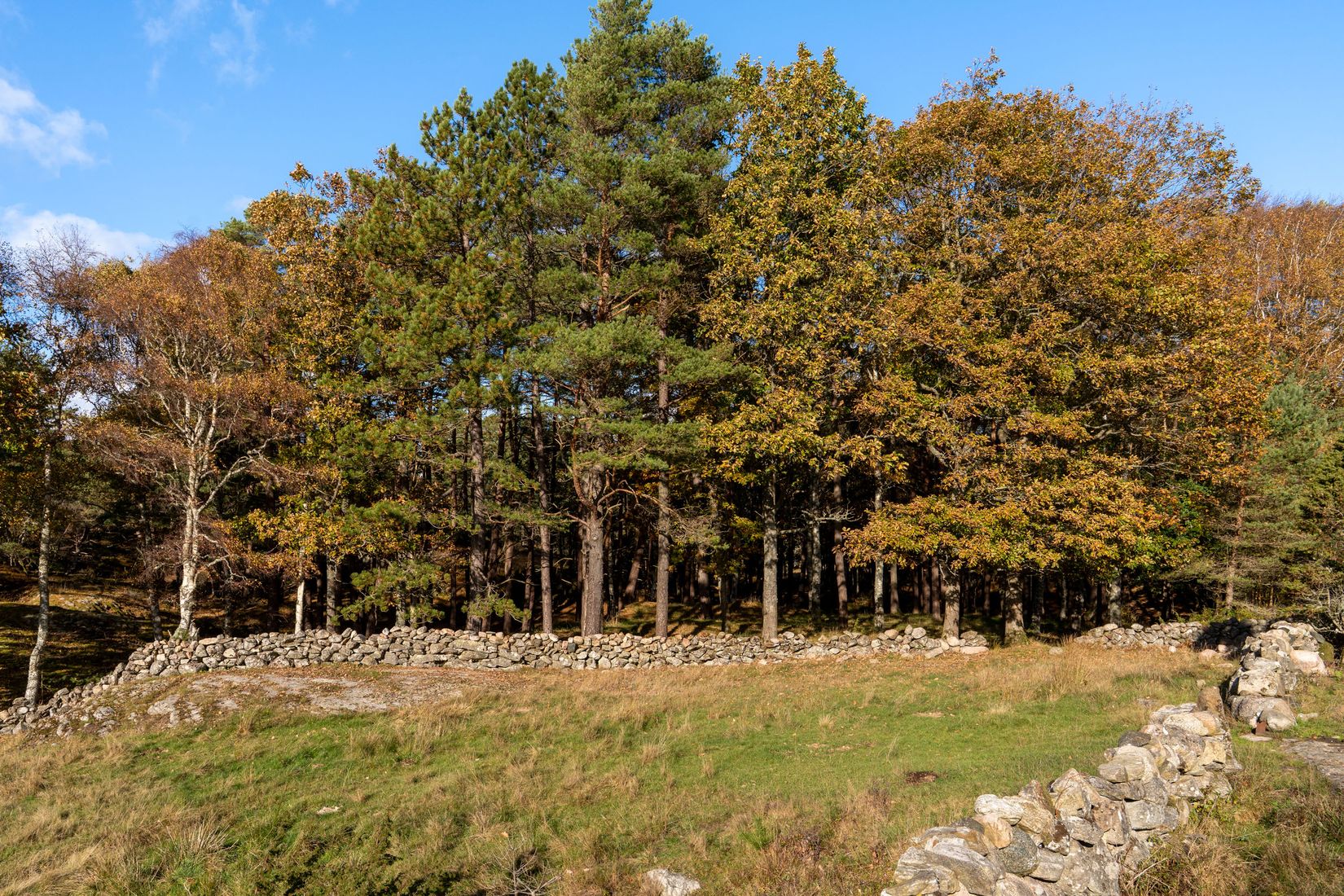 Gård/Skog, Lysekil Grönskult 1:9 och Lysekil Näreby 1:12, Skaftö, Lysekil