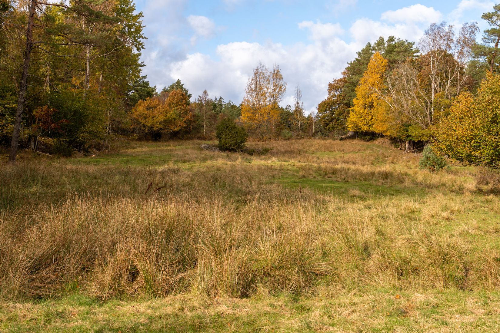 Gård/Skog, Lysekil Grönskult 1:9 och Lysekil Näreby 1:12, Skaftö, Lysekil