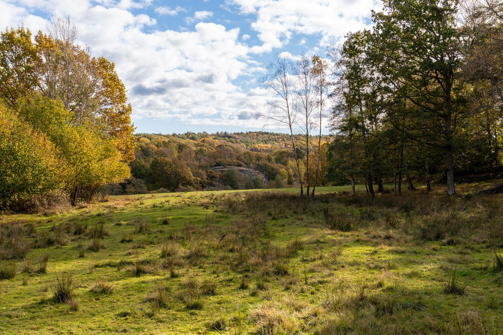 Gård/Skog, Lysekil Grönskult 1:9 och Lysekil Näreby 1:12, Skaftö, Lysekil