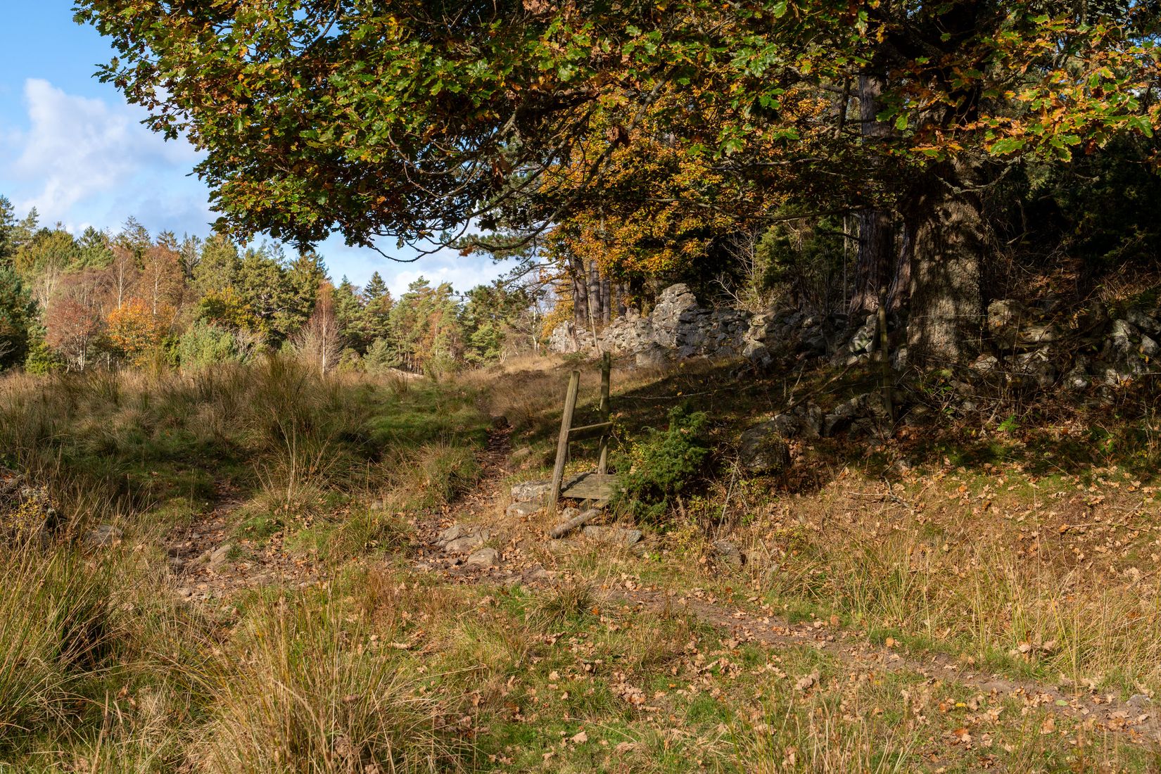 Gård/Skog, Lysekil Grönskult 1:9 och Lysekil Näreby 1:12, Skaftö, Lysekil