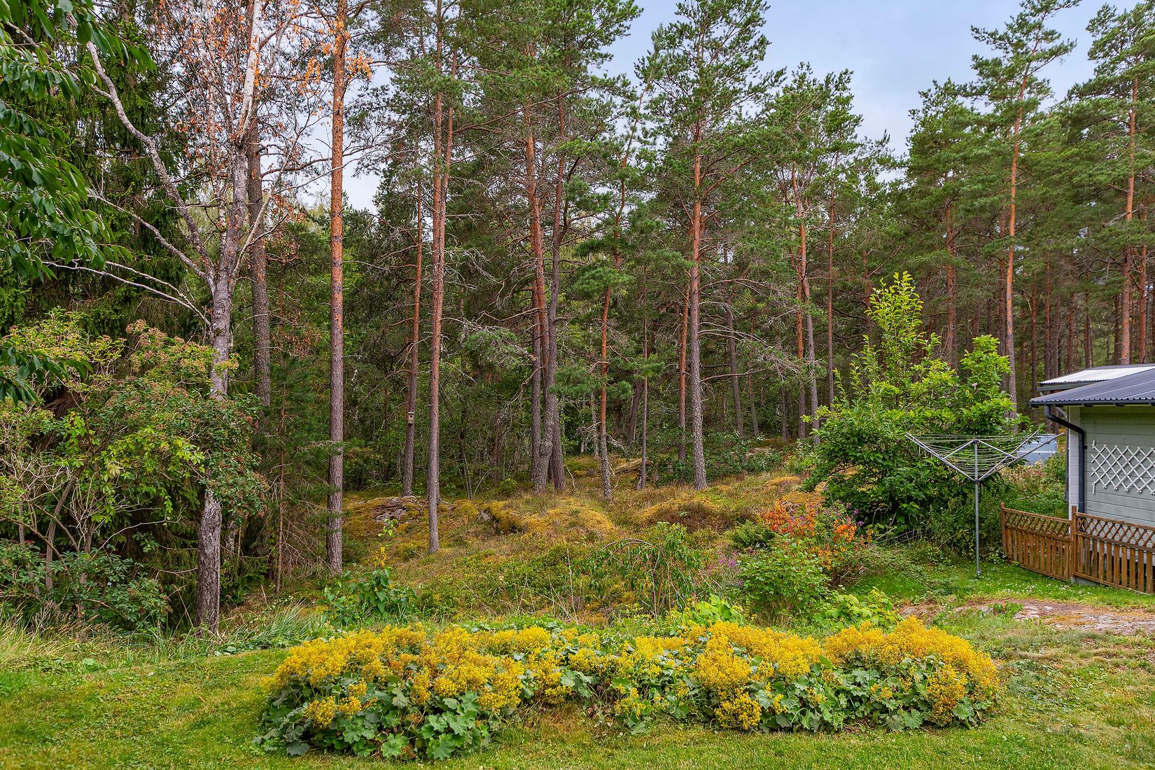 Bostadsrätt, Krusbärsvägen 125, Peterslund, Oxelösund