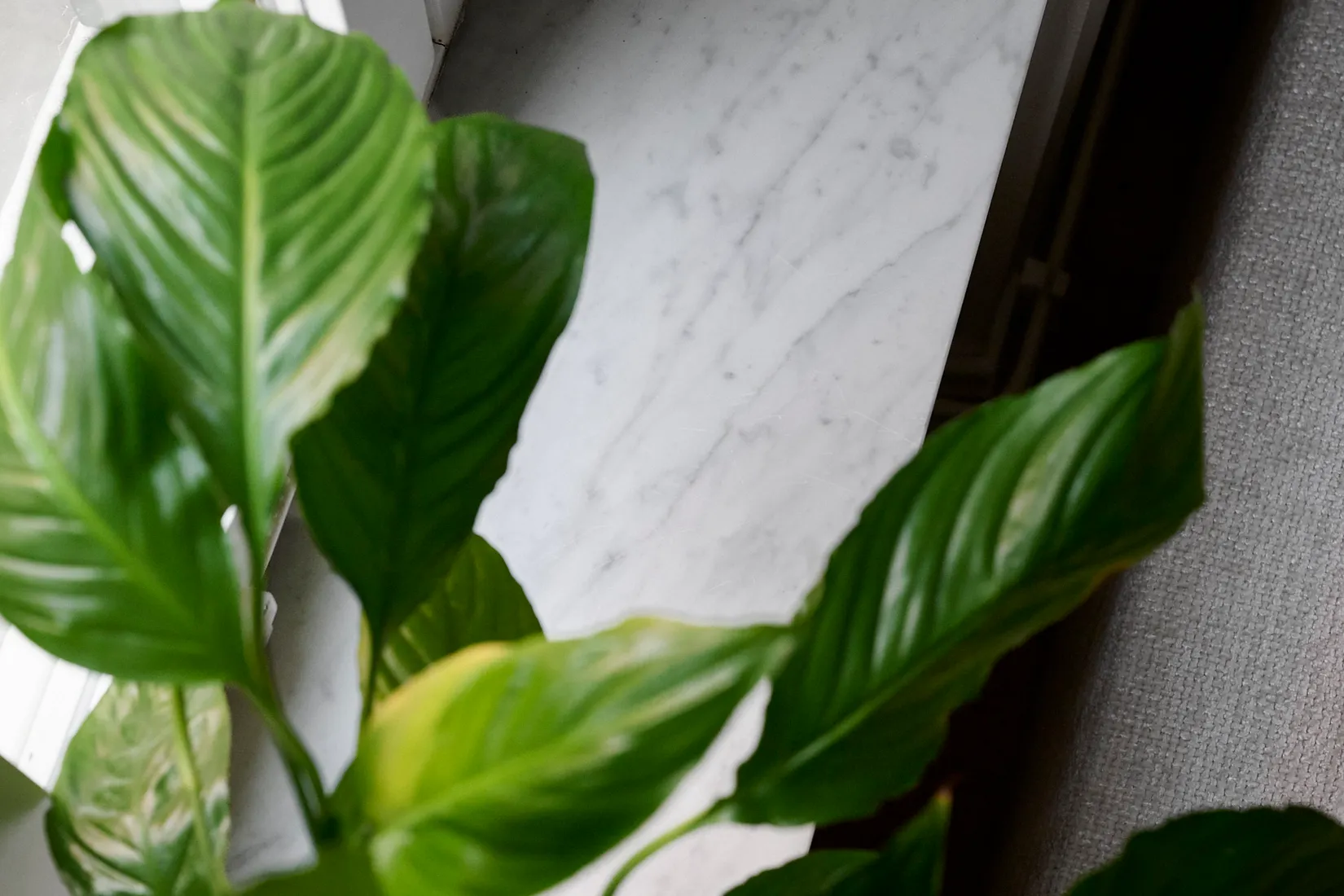 Bostadsrätt, Storgatan 21B, Vasastaden, Göteborg