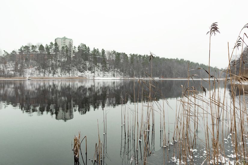 Bostadsrätt, Fjällgatan 31, Tullen, Borås