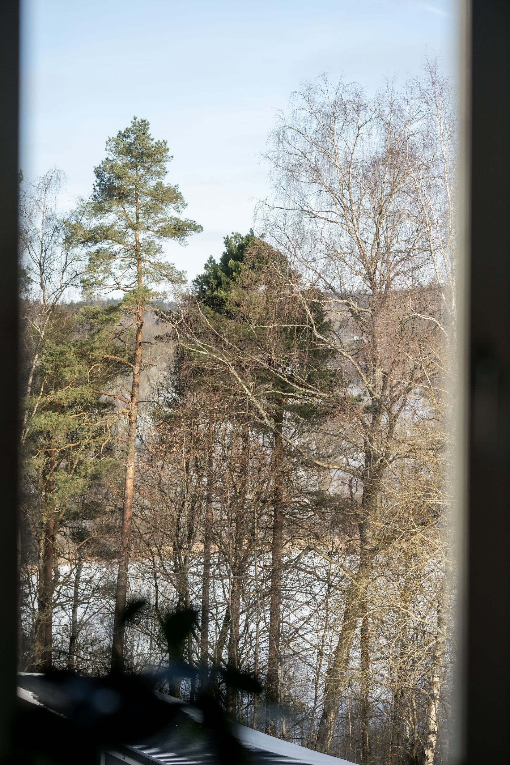 Bostadsrätt, Fjällgatan 31, Tullen, Borås