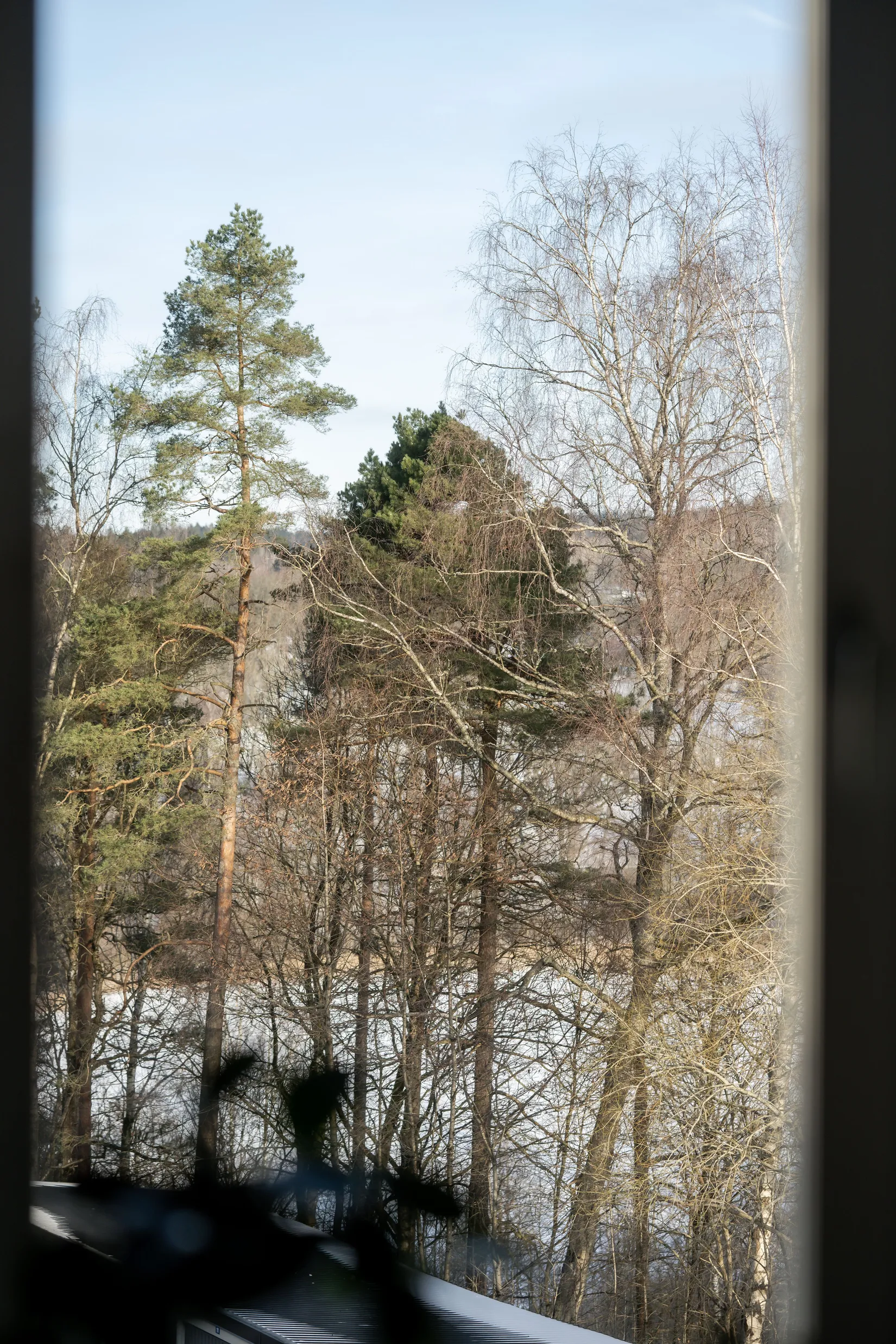 Bostadsrätt, Fjällgatan 31, Tullen, Borås