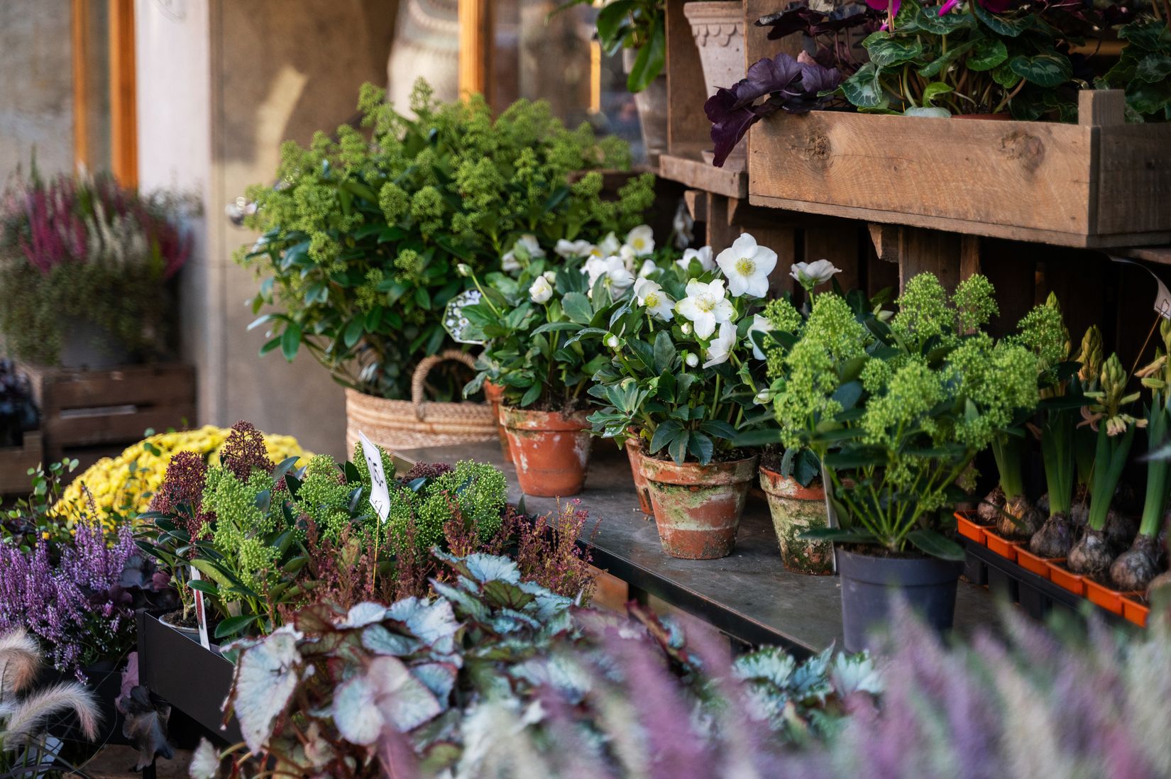 Bostadsrätt, Snöskostigen 5, Västertorp, Stockholm