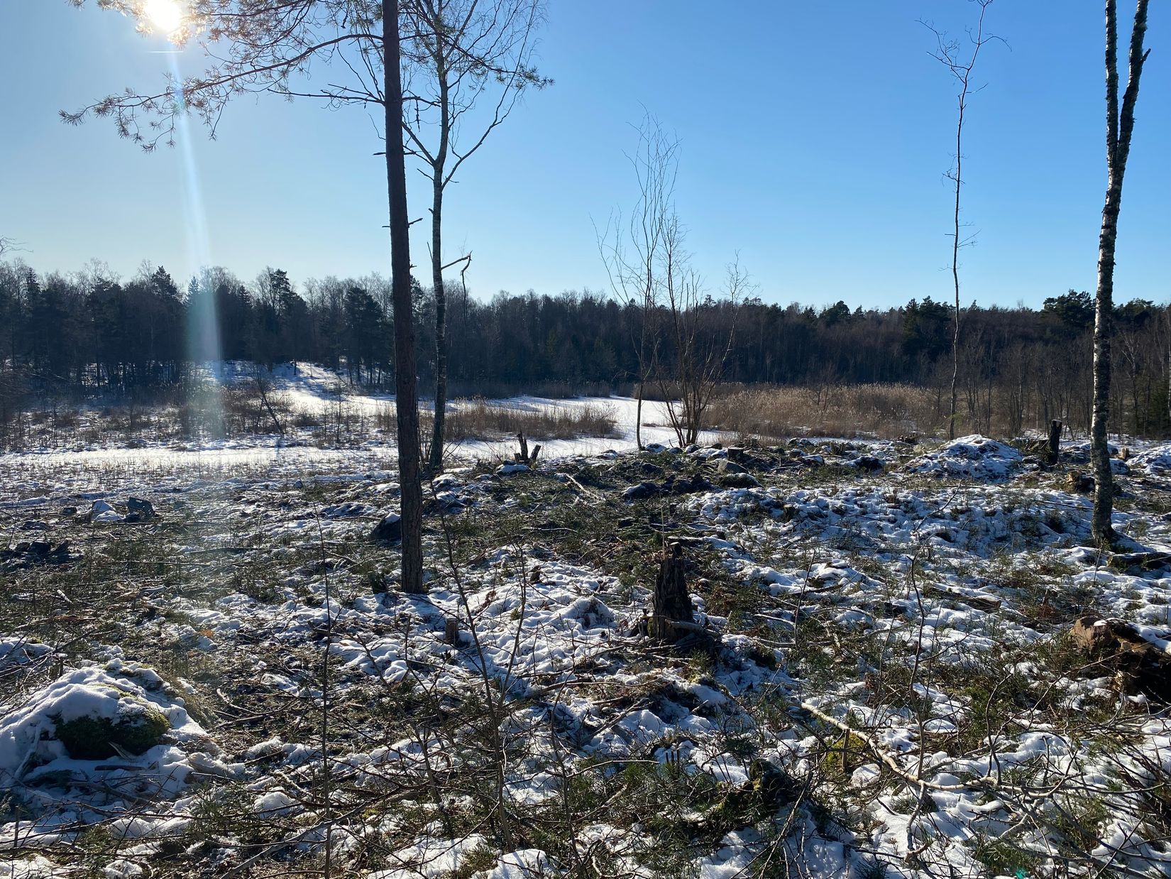 Tomt, Eknö Backe 8, Furusund, Svartnö/Eknö, Norrtälje