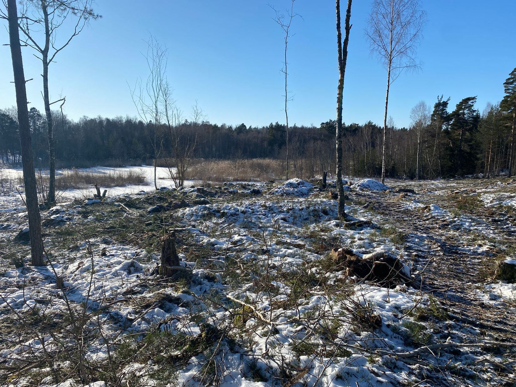 Tomt, Eknö Backe 8, Furusund, Svartnö/Eknö, Norrtälje