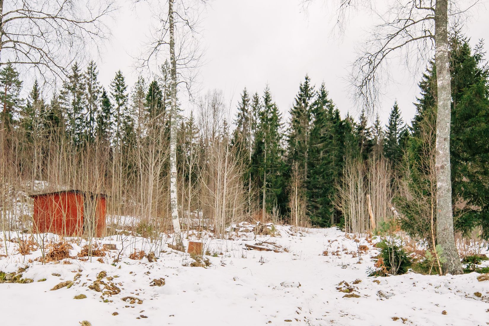 Gård/Skog, Sjötorp Älvstorp 6, Mariestad