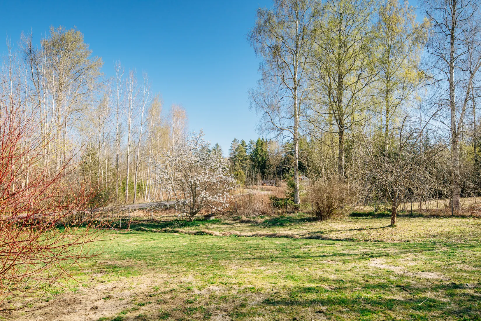 Gård/Skog, Sjötorp Älvstorp 6, Mariestad