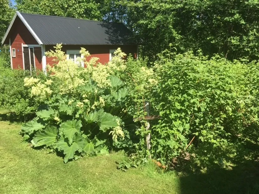 Villa, Villa solberga 1, Järvsö, Centralt, Ljusdal