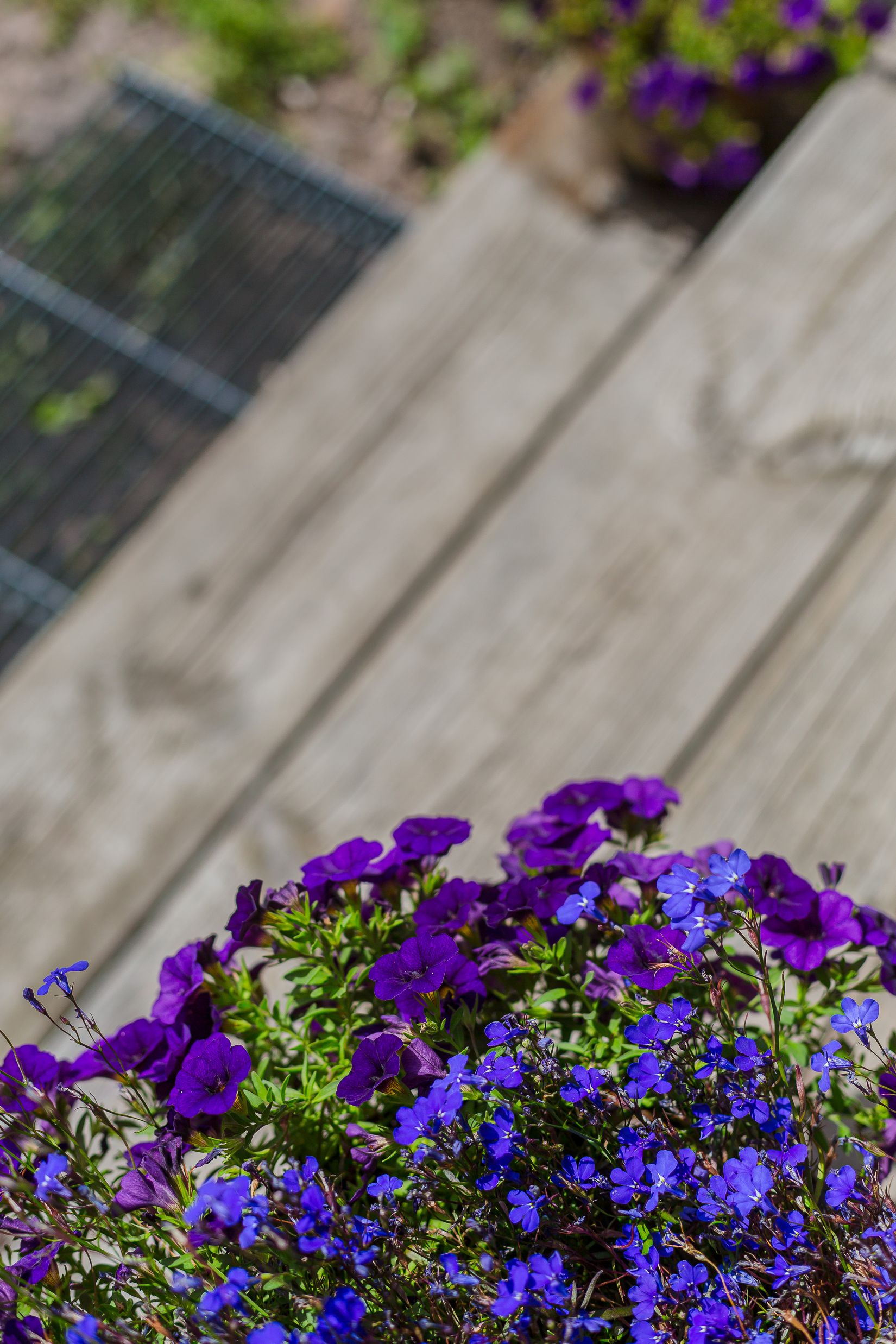 Villa, Charlottenberg 444, Charlottenberg, Sigtuna