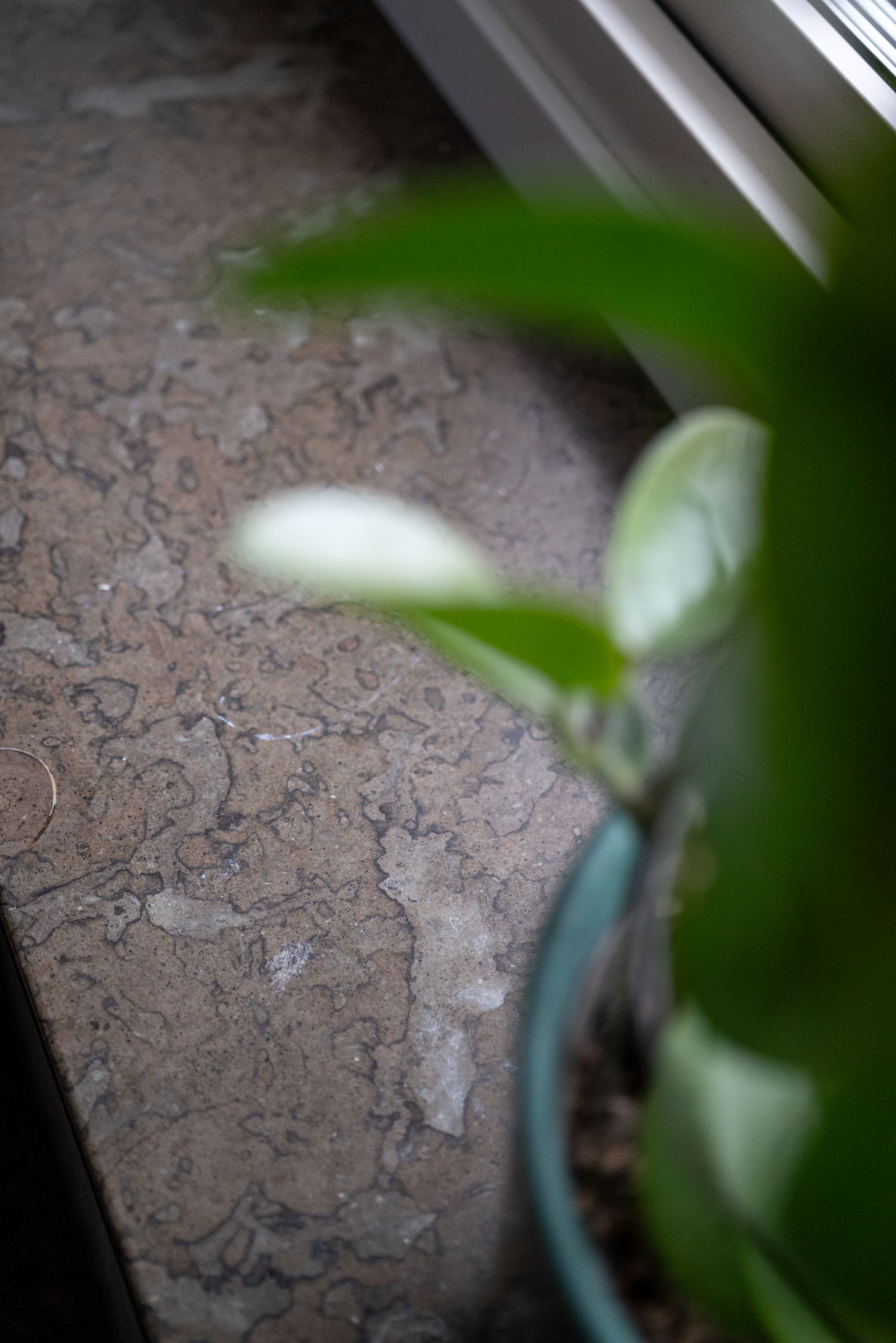 Bostadsrätt, Huldregatan 2A, Sjöbo, Borås