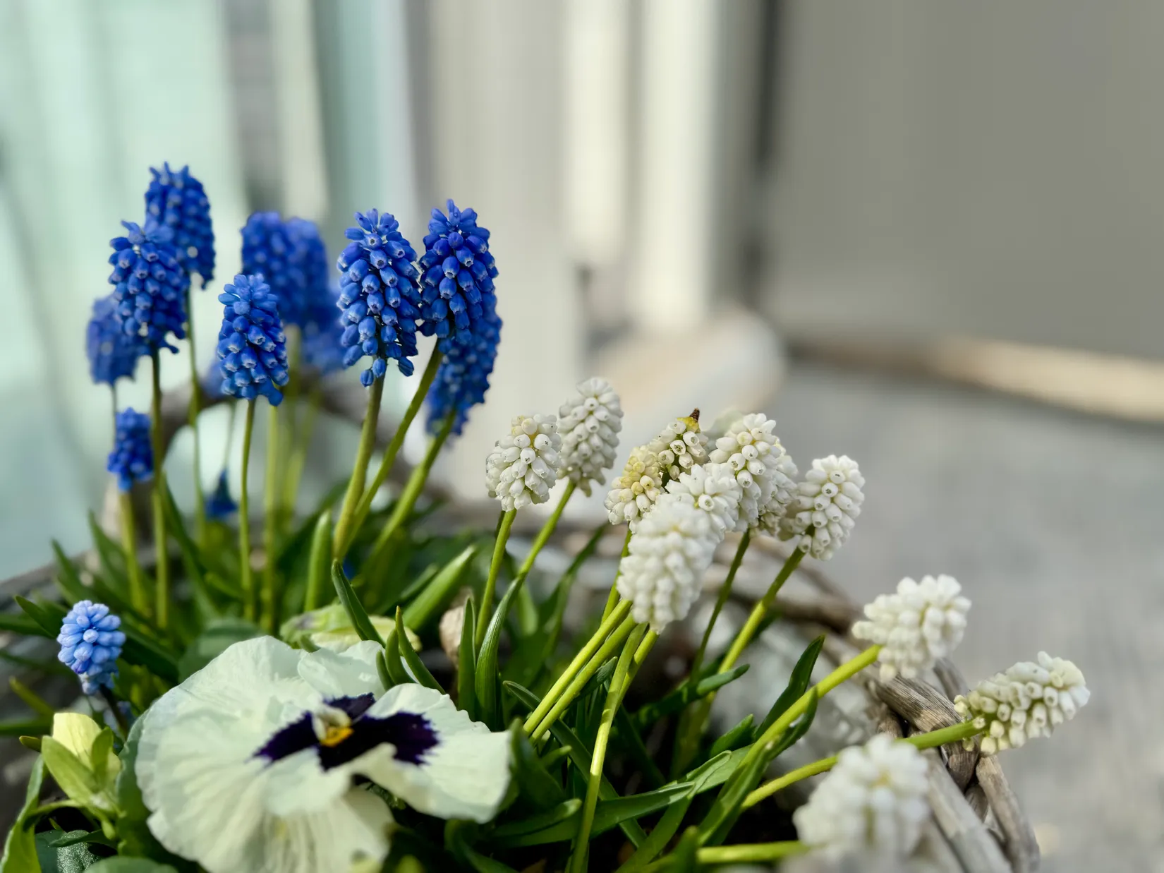 Bostadsrätt, Radhus, Valhallavägen 10B, Allarp, Laholm