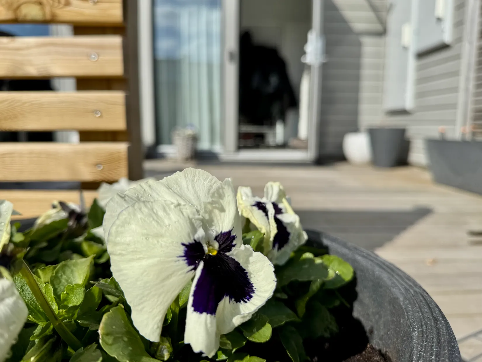 Bostadsrätt, Radhus, Valhallavägen 10B, Allarp, Laholm