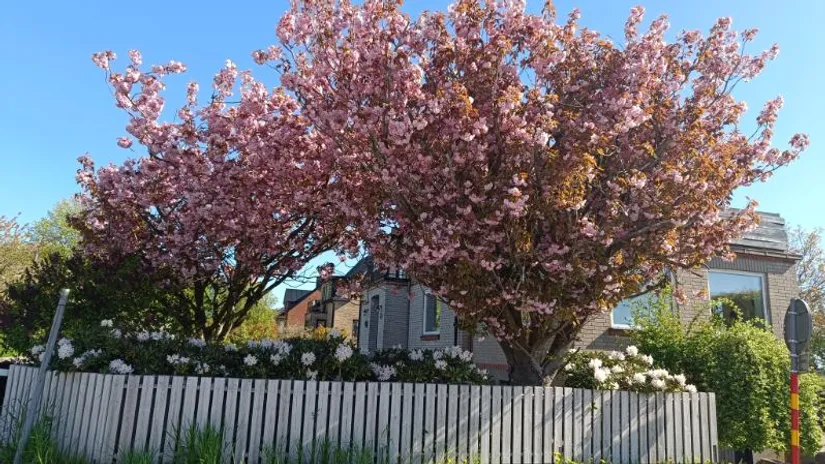 Villa, Vadensjövägen 109, Vadensjö, Landskrona