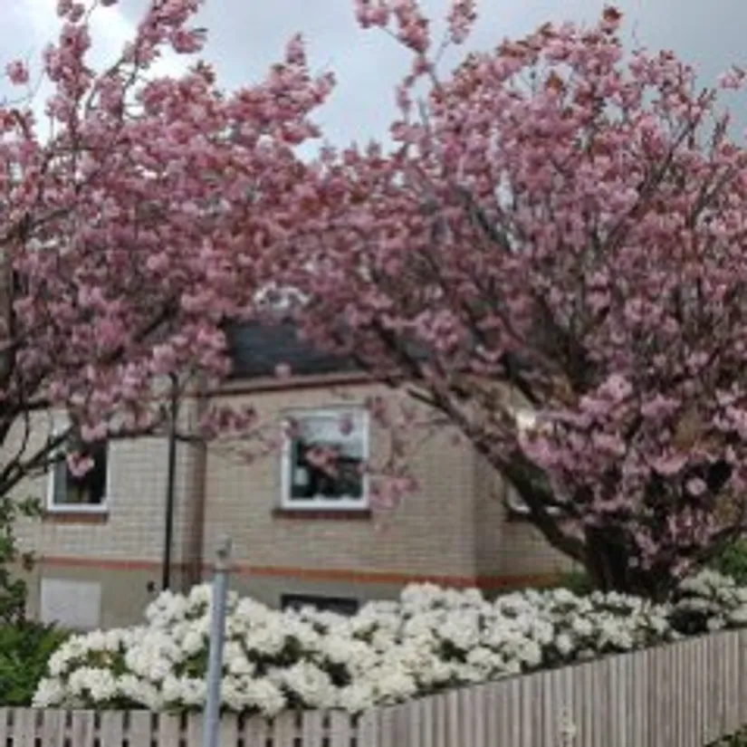 Villa, Vadensjövägen 109, Vadensjö, Landskrona