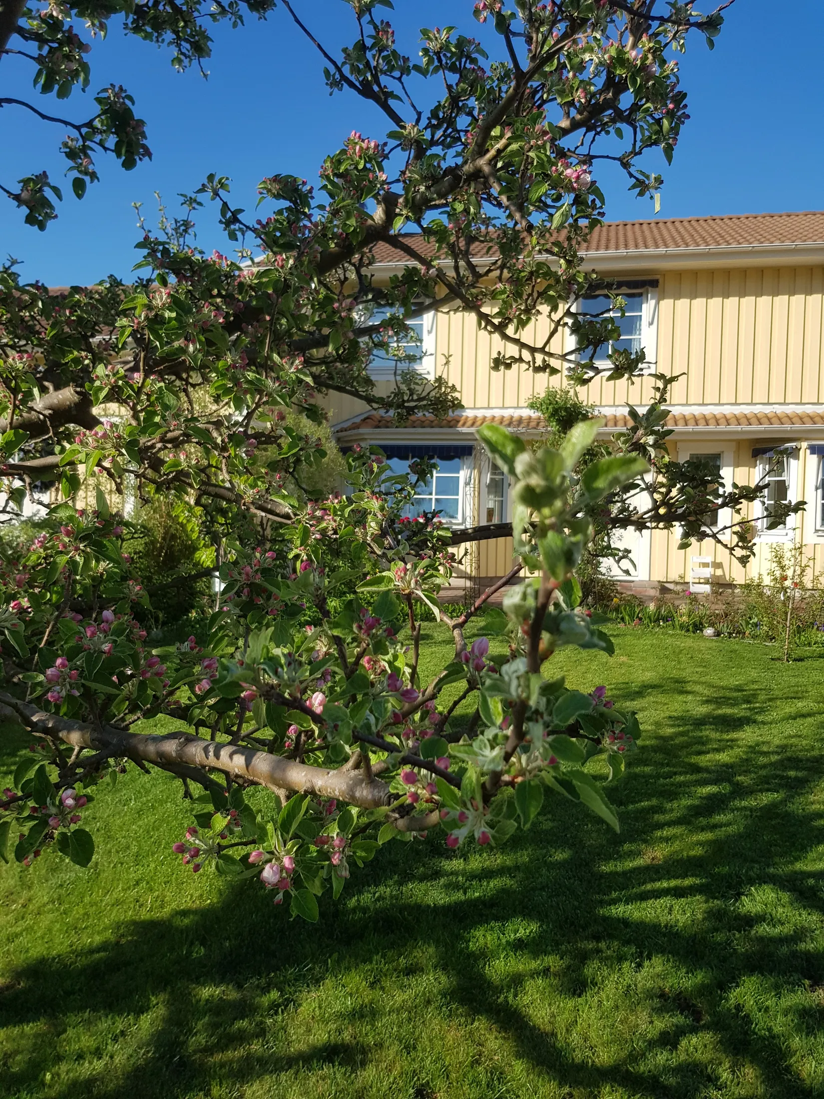 Radhus, Gribbylundsvägen 112A, Gribbylund, Täby