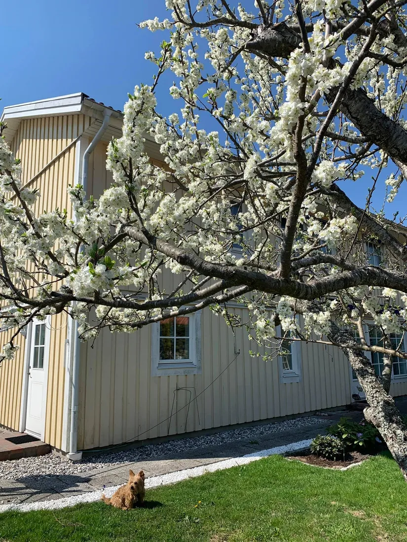 Radhus, Gribbylundsvägen 112A, Gribbylund, Täby