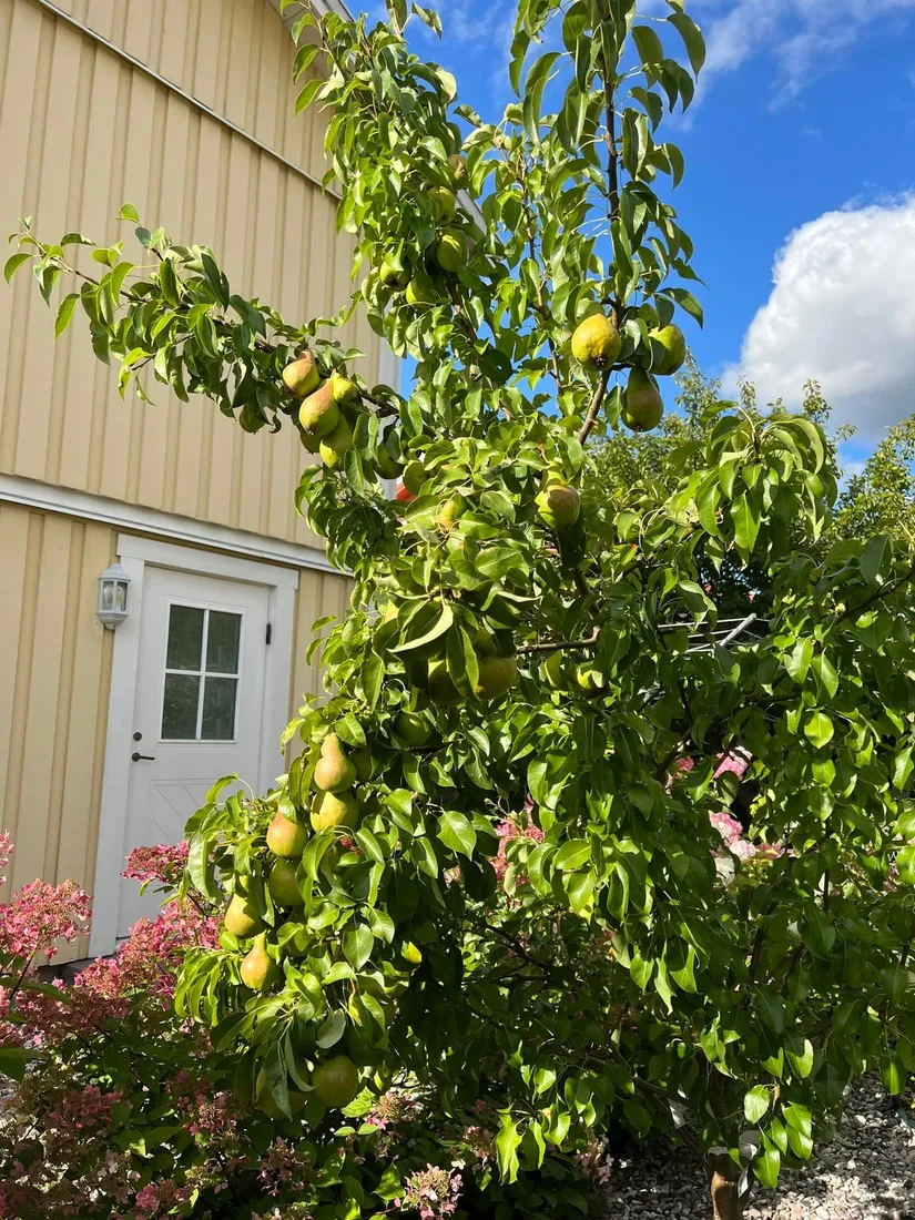 Radhus, Gribbylundsvägen 112A, Gribbylund, Täby