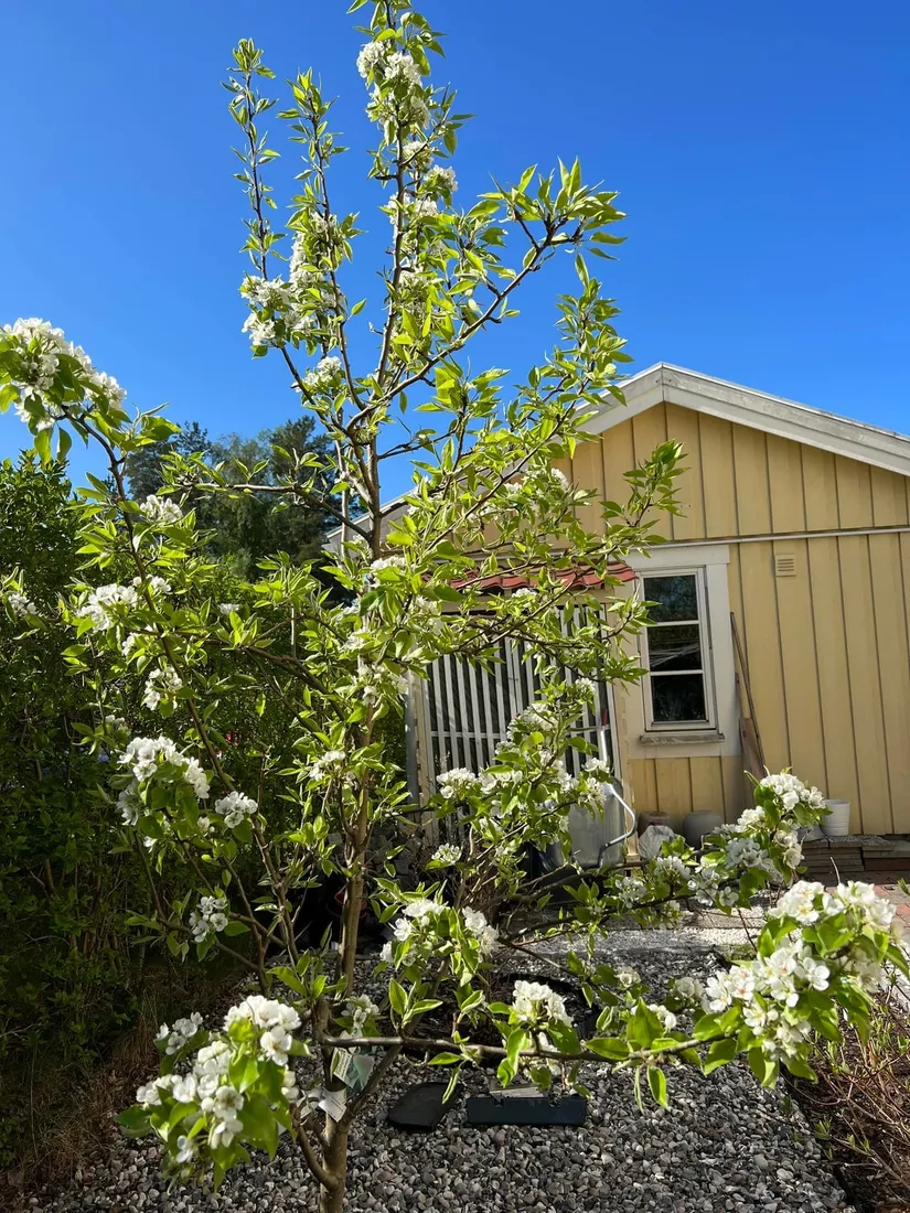 Radhus, Gribbylundsvägen 112A, Gribbylund, Täby