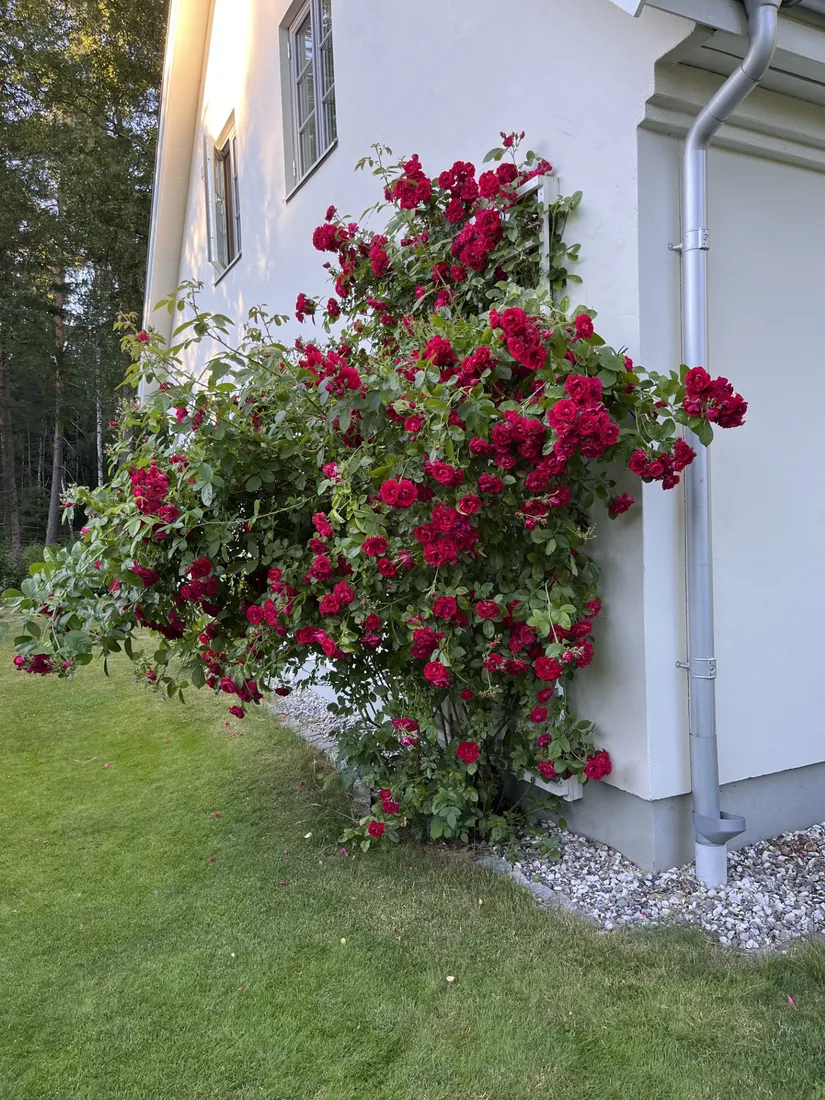 Villa, Dragonvägen 14, Bergsbrunna, Uppsala