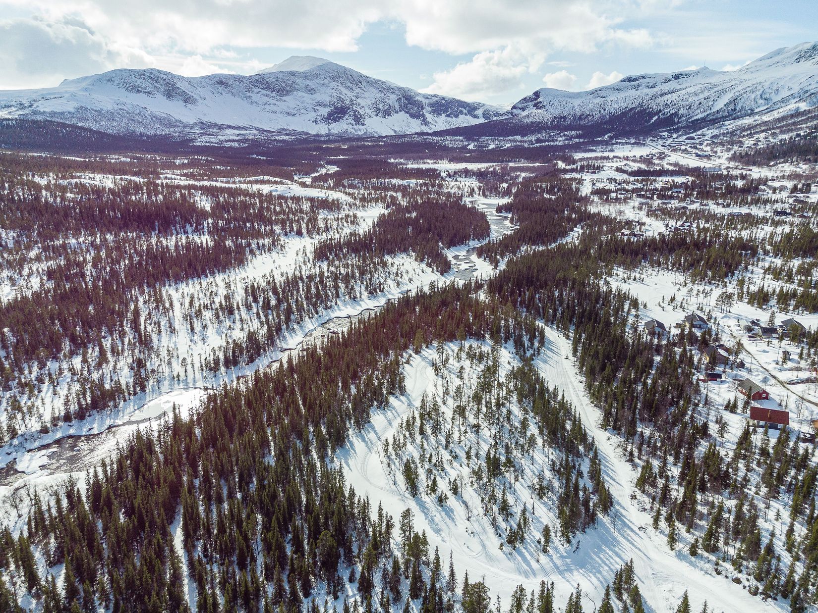 Tomt, Anbud på skogsfastighet i Kittelfjäll, Kittelfjäll, Vilhelmina