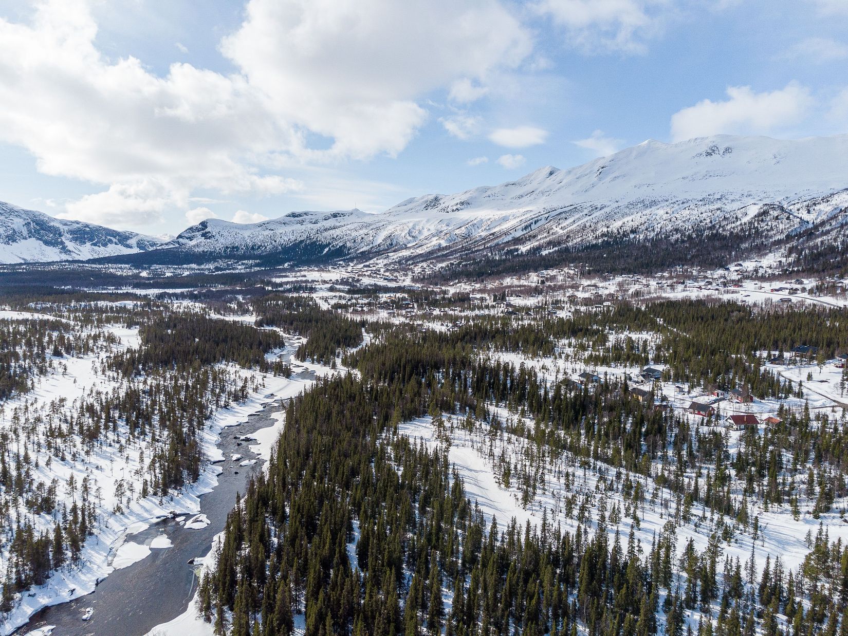 Tomt, Anbud på skogsfastighet i Kittelfjäll, Kittelfjäll, Vilhelmina